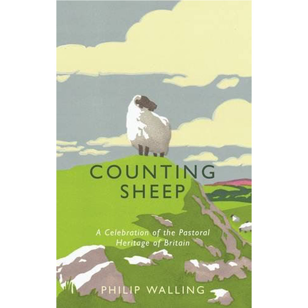 Counting Sheep By Philip Walling
