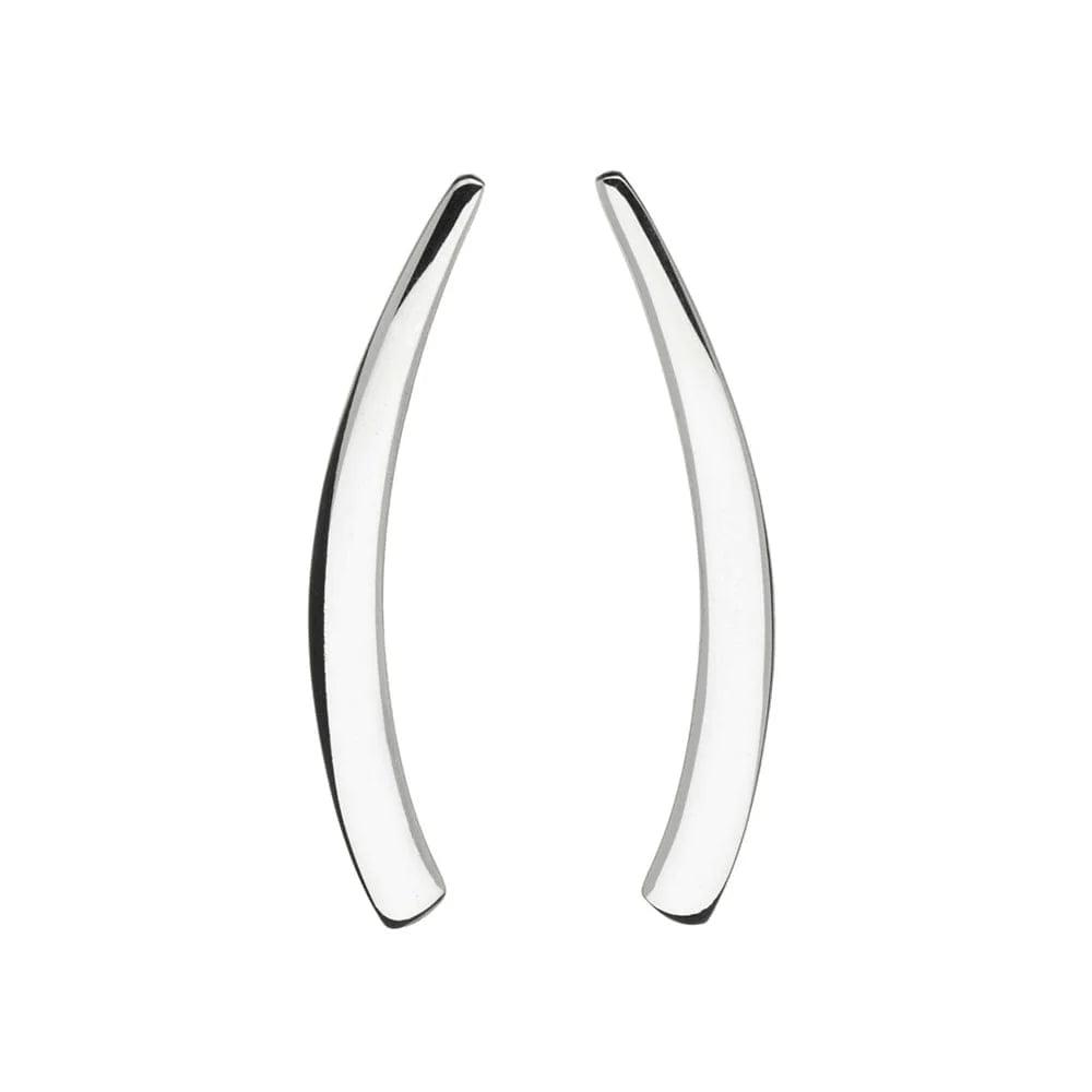 Silver Long Curve Earrings